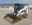 BOBCAT S650